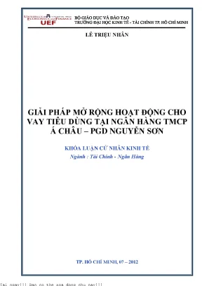 Giải pháp mở rộng hoạt động cho vay tiêu dùng tại ngân hàng tmcp á châu pgd nguyễn sơn