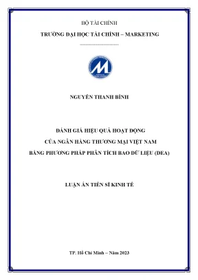 Đánh giá hiệu quả hoạt động của ngân hàng thương mại việt nam bằng phương pháp phân tích bao dữ liệu dea