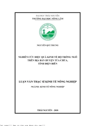 Nghiên cứu hiệu quả kinh tế hộ trồng ngô trên địa bàn huyện tủa chùa tỉnh điện biên