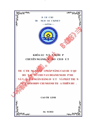 Thực trạng và giải pháp nâng cao hiệu quả hoạt động cho vay doanh nghiệp vừa và nhỏ tại ngân hàng tmcp đầu tư và phát triển việt nam bidv chi nhánh thừa thiên huế