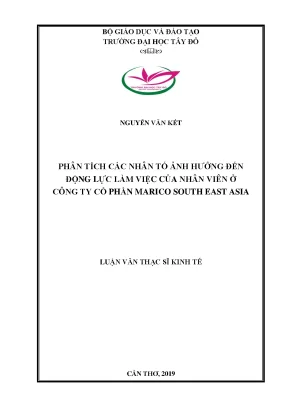 Phân tích các nhân tố ảnh hưởng đến động lực làm việc của nhân viên tại công ty cổ phần marico south east asia