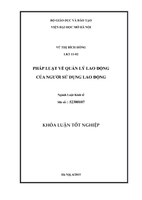 Pháp luật về quản lý lao động của người sử dụng lao động