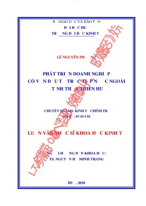 Phát triển doanh nghiệp có vốn đầu tư trực tiếp nước ngoài ở tỉnh thừa thiên huế