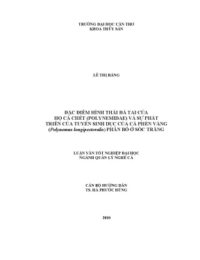 Đặc điểm hình thái đá tai củahọ cá chét polynemidae và sự pháttriển của tuyến sinh dục của cá phèn vàngpolynemus longipectoralis phân bố ở sóc trăng