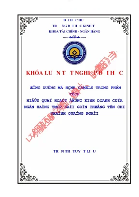 Ứng dụng mô hình camels trong phân tích hiệu quả hoạt động kinh doanh của ngân hàng thương mại cổ phần sài gòn thương tín chi nhánh quảng ngãi
