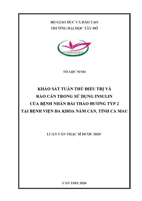 Khảo sát tuân thủ điều trị và rào cản trong sử dụng insulin của bệnh nhân đái tháo đường týp 2 tại bệnh viện đa khoa năm căn tỉnh cà mau
