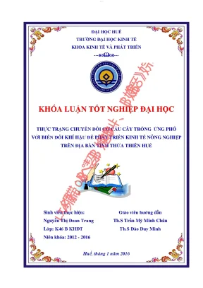 Thực trạng chuyển đổi cơ cấu cây trồng ứng phó với biến đổi khí hậu để phát triển kinh tế nông nghiệp trên địa bàn tỉnh thừa thiên huế