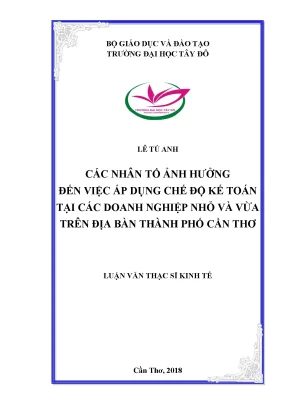 Các nhân tố ảnh hưởng đến việc áp dụng chế độ kế toán tại các doanh nghiệp nhỏ và vừa trên địa bàn thành phố cần thơ