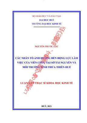 Các nhân tố ảnh hưởng đến động lực làm việc của viên chức tại sở tài nguyên và môi trường tỉnh thừa thiên huế