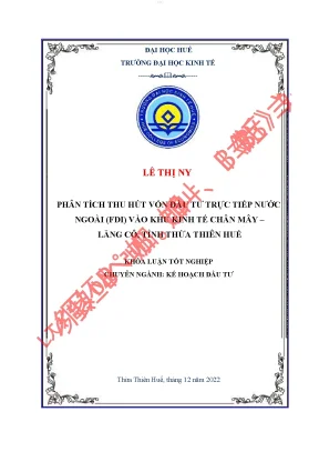 Phân tích thu hút vốn đầu tư trực tiếp nước ngoài fdi vào khu kinh tế chân mây lăng cô tỉnh thừa thiên huế