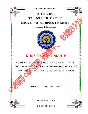 Nghiên cứu ảnh hưởng của các nhân tố về tổ chức đến việc triển khai thành công hệ thống hoạch định nguồn lực doanh nghiệp erp