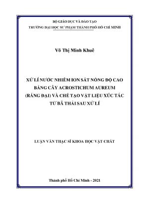 Xử lí nước nhiễm ion sắt nồng độ cao bằng cây acrostichum aureum ráng đại và chế tạo vật liệu xúc tác từ bã thải sau xử lí