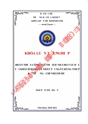 Hoàn thiện công tác thẩm định cho vay đối vớikhách hàng cá nhân tại ngân hàng thương mại cổ phần kỹ thương chi nhánh huế