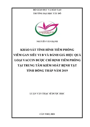 Khảo sát tình hình tiêm phòng viêm gan siêu vi b và đánh giá hiệu quả loại vaccin được chỉ định tiêm phòng tại trung tâm kiểm soát bệnh tật tỉnh đồng tháp năm 2019