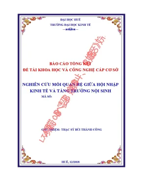 Nghiên cứu mối quan hệ giữa hội nhập kinh tế và tăng trưởng nội sinh