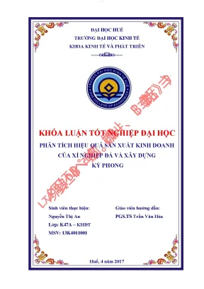 Phân tích hiệu quả sản xuất kinh doanh của xí nghiệp đá và xây dựng kỳ phong