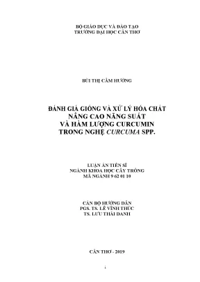 Đánh giá giống và xử lý hóa chất nâng cao năng suất và hàm lượng curcumin trong nghệ curcuma spp