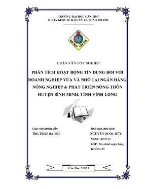 Phân tích hoạt động tín dụng đối với doanh nghiệp vừa và nhỏ tại ngân hàng nông nghiệp phát triển nông thôn huyện bình minh tỉnh vĩnh long