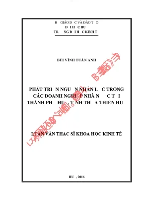 Phát triển nguồn nhân lực trong các doanh nghiệp nhà nước tại thành phố huế tỉnh thừa thiên huế