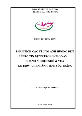 Phân tích các nhân tố ảnh hưởng đến rủi ro tín dụng trong cho vay doanh nghiệp nhỏ và vừa tại bidv chi nhánh tỉnh sóc trăng