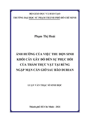 Ảnh hưởng của việc thu dọn sinh khối cây gãy đổ đến sự phục hồi của thảm thực vật tại rừng ngập mặn cần giờ sau bão durian