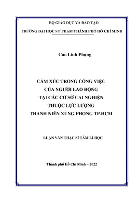 Cảm xúc trong công việc của người lao động tại các cơ sở cai nghiện thuộc lực lượng thanh niên xung phong tp hcm