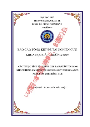 Các thuộc tính tài chính gây ra nợ xấu tín dụng khách hàng cá nhân tại nhtmcp bidv chi nhánh huế