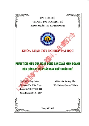 Phân tích hiệu quả hoạt động sản xuất kinh doanh của công ty cổ phần may xuất khẩu huế