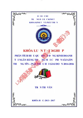 Phân tích hiệu quả hoạt động kinh doanh tại ngân hàng thương mại cổ phần sài gòn thương tín pgd triệu hải giai đoạn 2014 2016