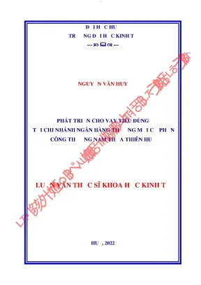 Phát triển cho vay tiêu dùng tại chi nhánh ngân hàng thương mại cổ phần công thương nam thừa thiên huế