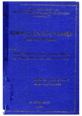 Tìm hiểu tình hình đầu tư nước ngoài tại tp hcm giai đoạn 1991 2003