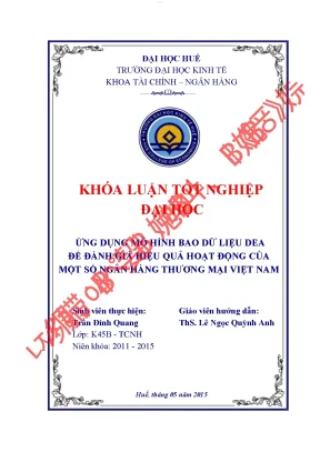 Ứng dụng mô hình bao dữ liệu để đánh giá hiệu quả hoạt động của một số ngân hàng thương mại việt nam