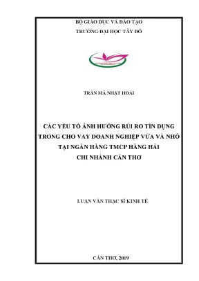 Các yếu tố ảnh hưởng rủi ro tín dụng trong cho vay doanh nghiệp nhỏ và vừa tại ngân hàng tmcp hàng hải chi nhánh cần thơ
