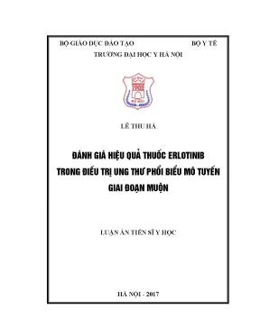 Đánh giá hiệu quả thuốc erlotinib trong điều trị ung thư phổi biểu mô tuyến giai đoạn muộn