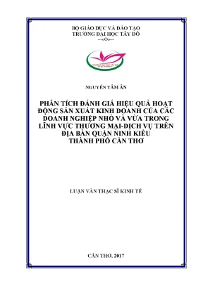 Phân tích đánh giá hiệu quả hoạt động sản xuất kinh doanh của doanh nghiệp nhỏ và vừa trong lĩnh vực thương mại dịch vụ trên địa bàn quận ninh kiều thành phố cần thơ