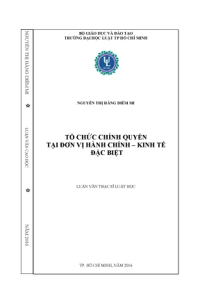 Tổ chức chính quyền tại đơn vị hành chính kinh tế đặc biệt