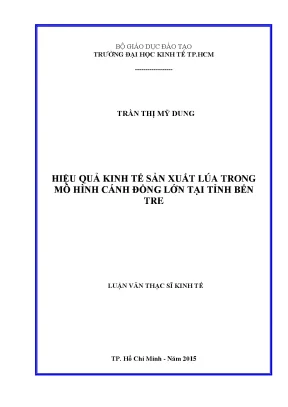 Luận văn hiệu quả kinh tế sản xuất lúa trong mô hình cánh đồng lớn tại tỉnh bến tre