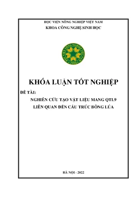 Nghiên cứu tạo vật liệu mang qtl9 liên quan đến cấu trúc bông lúa