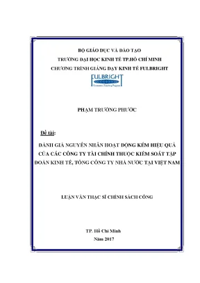 Luận văn đánh giá nguyên nhân hoạt động kém hiệu quả của các công ty tài chính thuộc kiểm soát tập đoàn kinh tế tổng công ty nhà nước tại việt nam