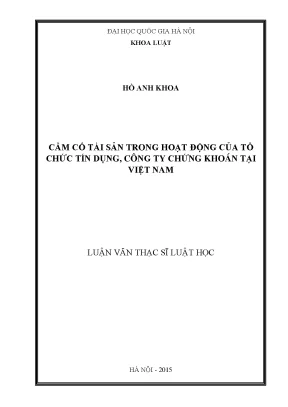 Cầm cố tài sản trong hoạt động của tổ chức tín dụng công ty chứng khoán tại việt nam