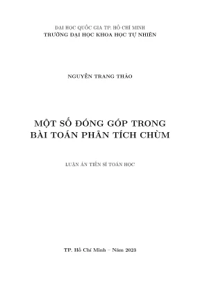 Luận án tiến sĩ toán học một số đóng góp trong bài toán phân tích chùm