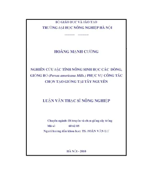 Nghiên cứu đặc tính nông sinh học các dòng giống bơ persea americana mills phục vụ công tác chọn tạo giống tại tây nguyên