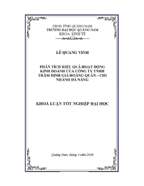 0633 phân tích hiệu quả hoạt động kinh doanh của công ty tnhh thẩm định giá hoàng quân chi nhánh đà nẵng lê quang vinh luận văn đh quảng nam