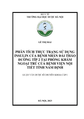 Lê thị mai phân tích thực trạng sử dụng insulin của bệnh nhân đái tháo đường típ 2 tại phòng khám ngoại trú của bệnh viện nội tiết tỉnh nam định luận văn dược sĩ chuyên khoa cấp i
