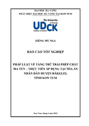 Pháp luật về tàng trữ trái phép chất ma túy thực tiễn áp dụng tại tòa án nhân dân huyện đakglei tỉnh kon tum
