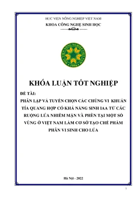 Phân lập và tuyển chọn các chủng vi khuẩn tía quang hợp có khả năng sinh iaa từ các ruộng lúa nhiễm mặn và phèn tại một số vùng ở việt nam làm cơ sở tạo chế phẩm phân vi sinh cho lúa