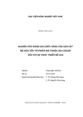Luận văn thạc sĩ nghiên cứu đánh giá chức năng của gen cr7 mã hóa yếu tố phiên mã thuộc họ c2h2zf đối với sự phát triển rễ lúa