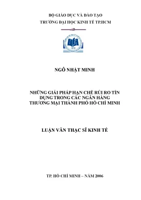 Luận văn những giải pháp hạn chế rủi ro tín dụng trong các ngân hàng thương mại ở thành phố hồ chí minh