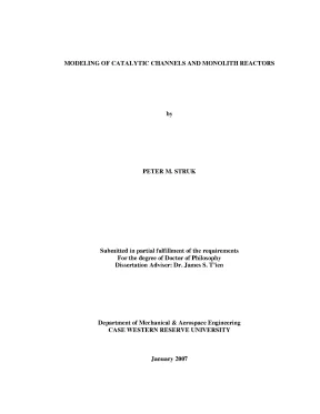 Luận án tiến sĩ modeling of catalytic channels and monolith reactors