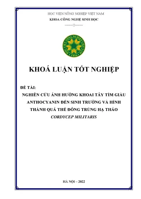 Nghiên cứu ảnh hưởng khoai tây tím giàu anthocyanin đến sinh trưởng và hình thành quả thể đông trùng hạ thảo cordycep militaris